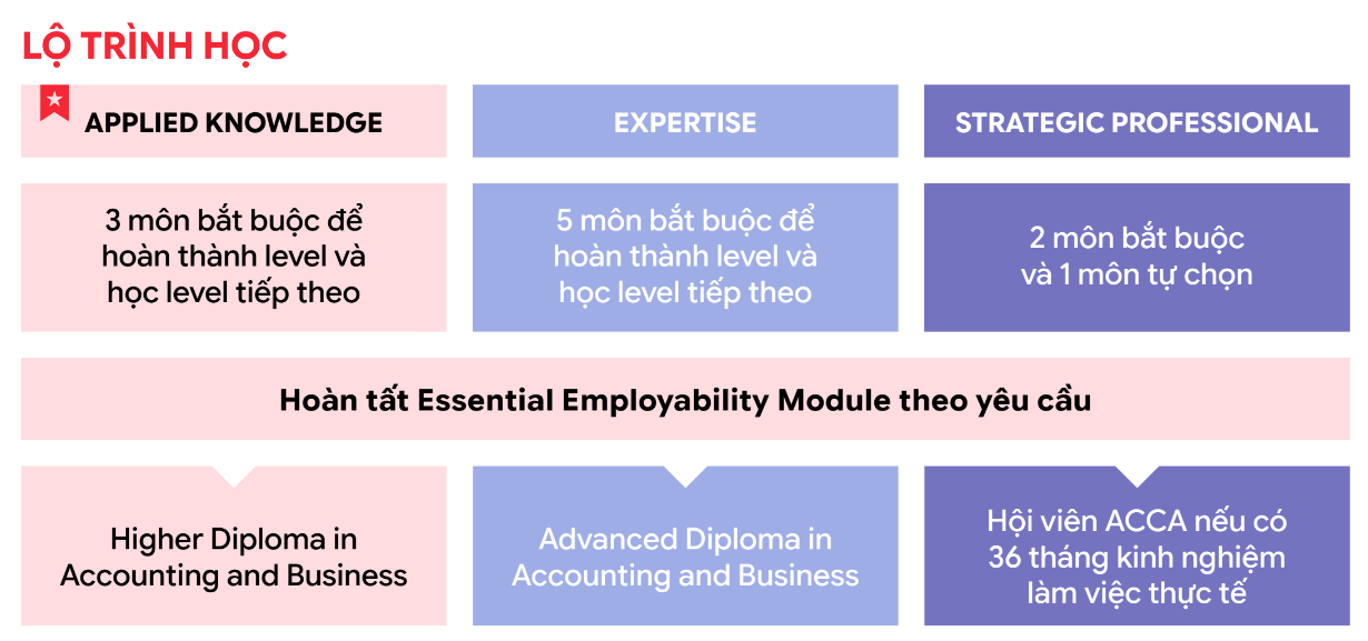 3 cấp độ ACCA