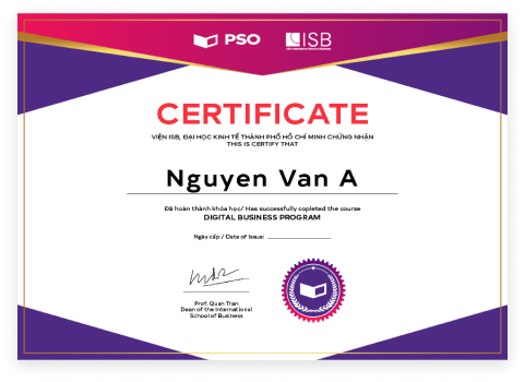 PSO Digital Business Program