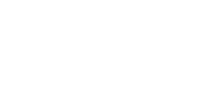 PSO Digital Business Program