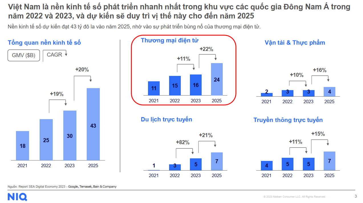 Tổng quan tiêu dùng trực tuyến Việt Nam 2024