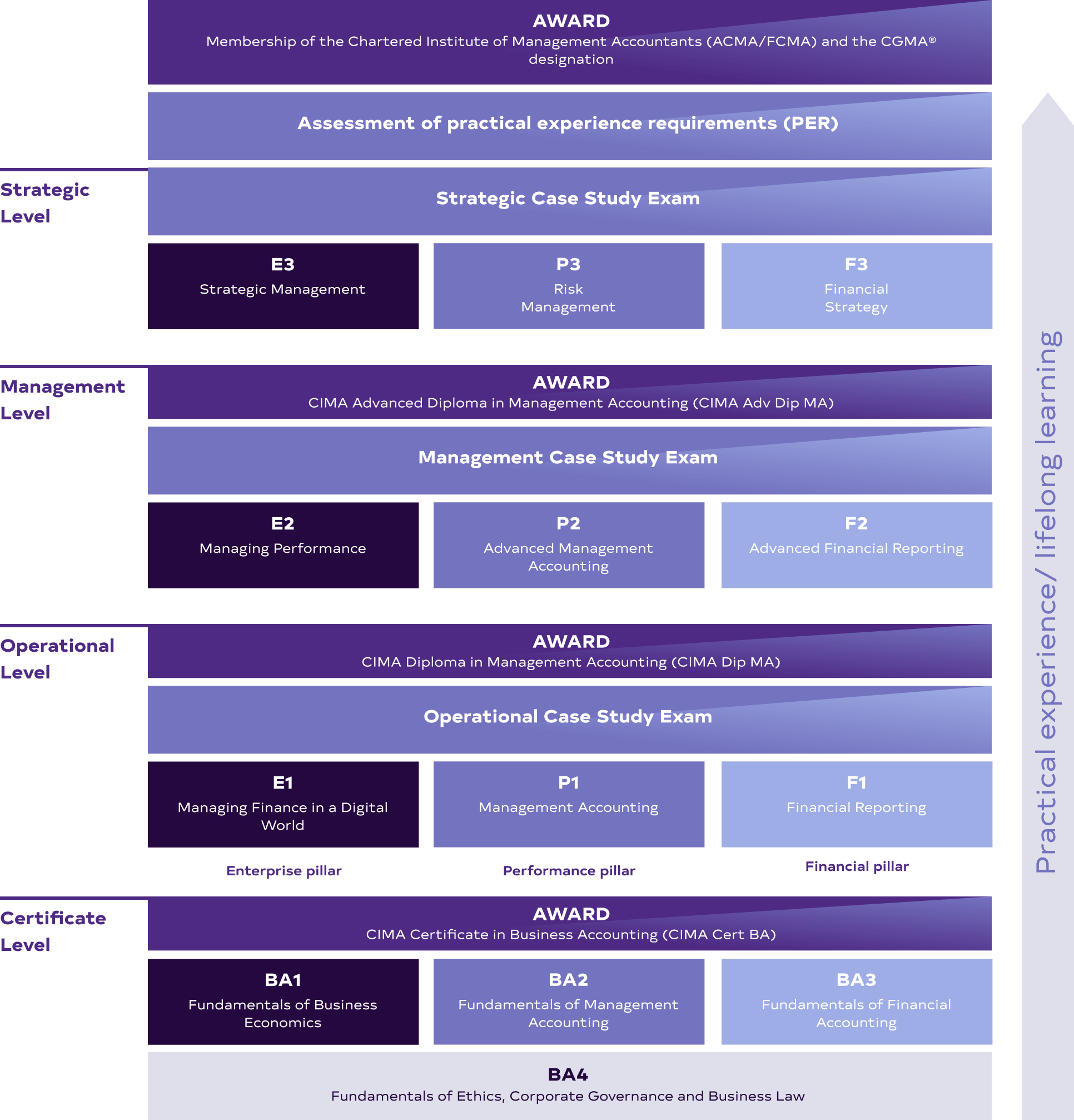 Lộ trình học CGMA Leadership Programme (University)